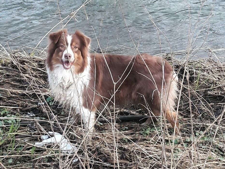 Lovely red sweety Des Perles De Magdalena